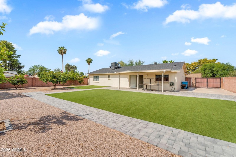 Backyard