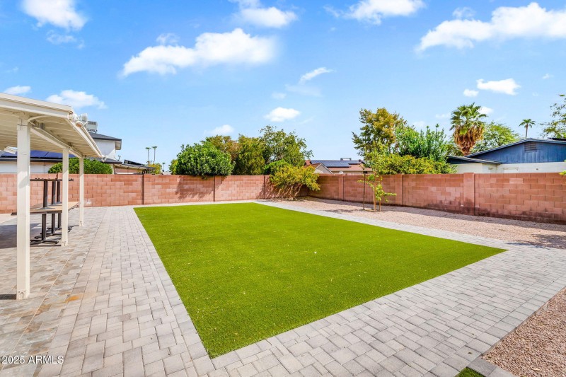 Backyard