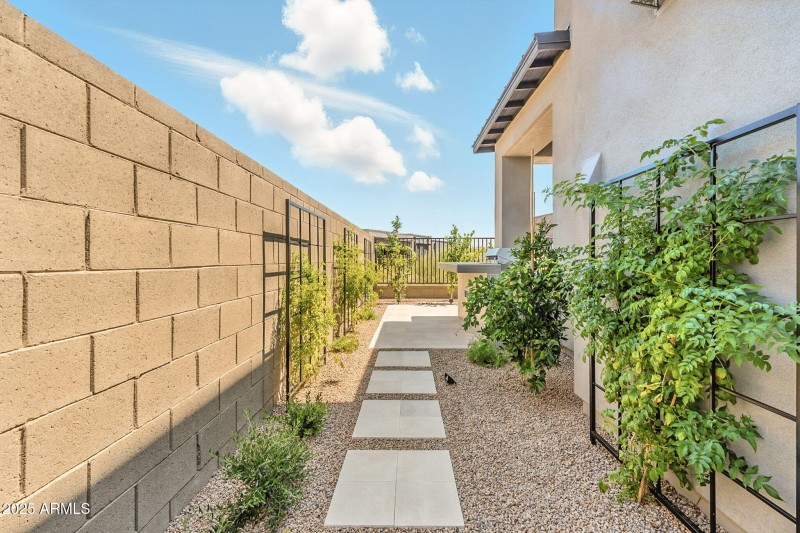 Sideyard