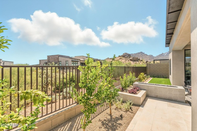 Backyard Views