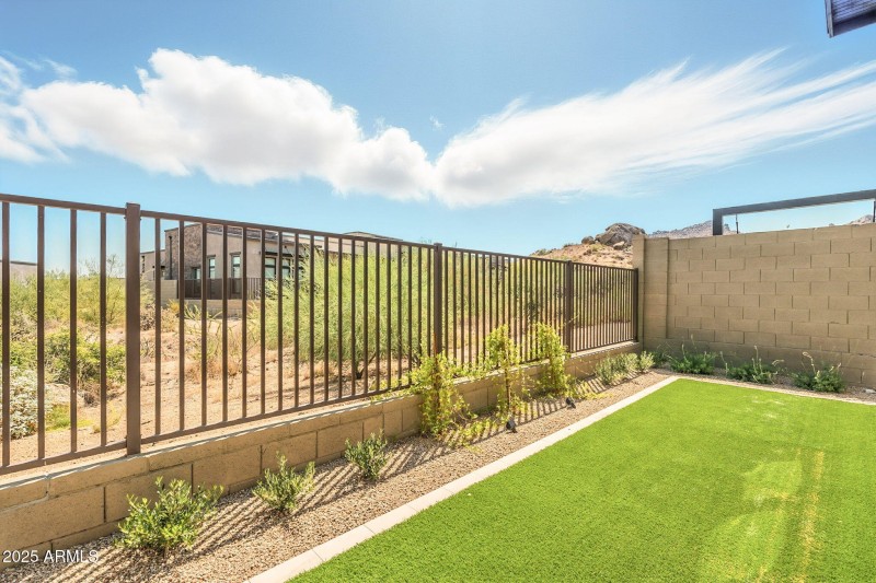 Backyard Turf