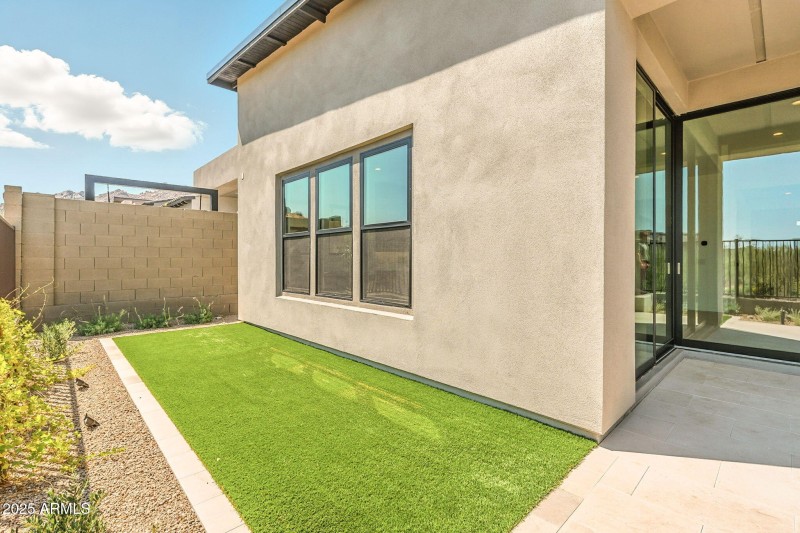 Backyard Turf