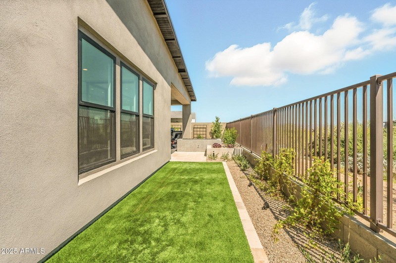 Backyard Turf