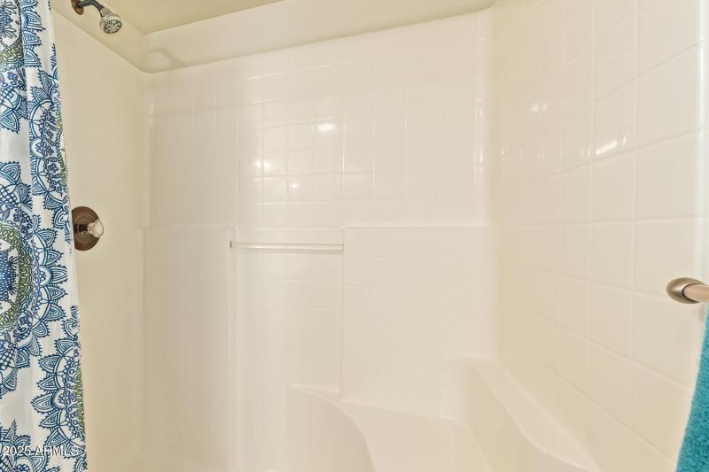 Master Shower/Tub