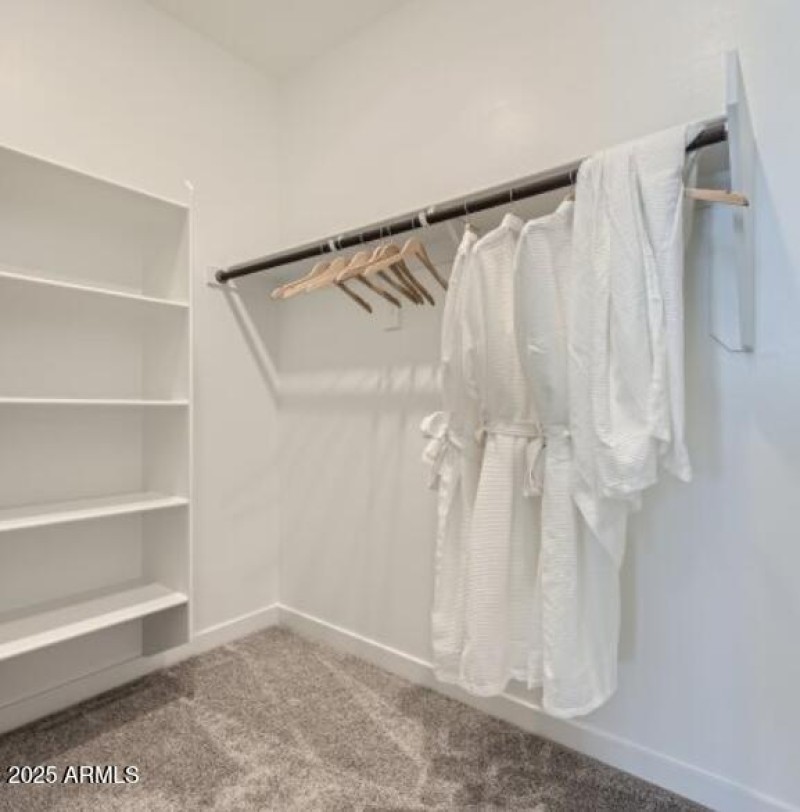 Owners Walk in Closet