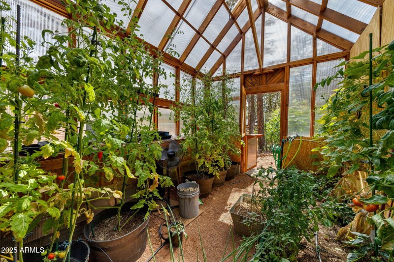 2231EagleLn-Overgaard-AZ-34