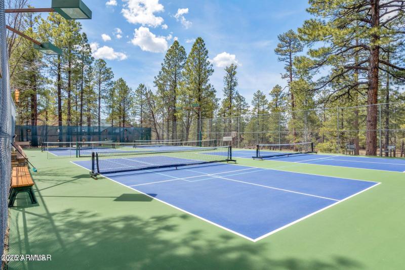 Pickle ball courts