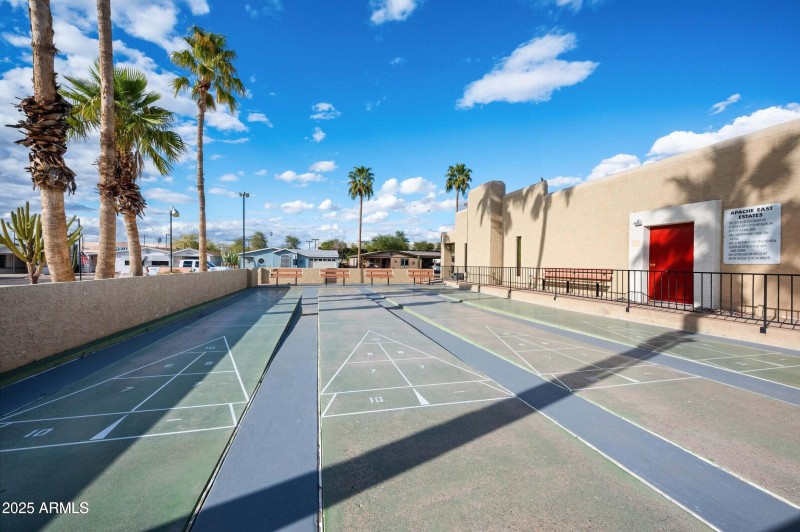 Community Shuffleboard