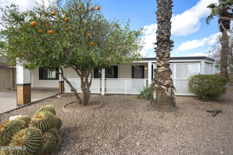 Large Front Patio