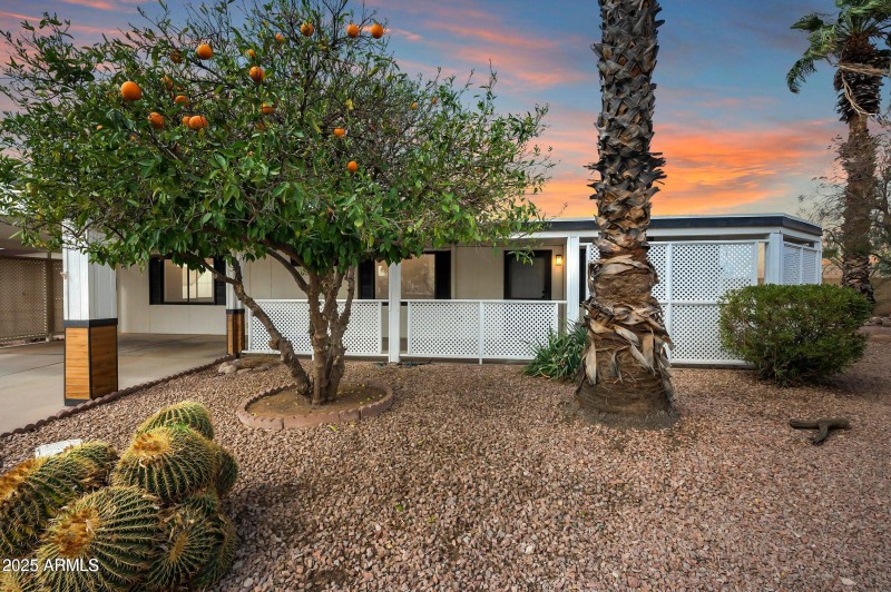 Large Front Patio