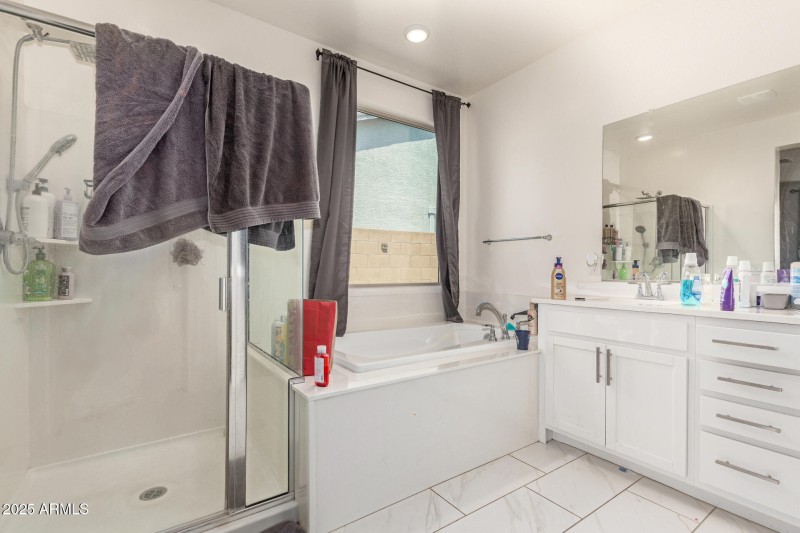 Master Shower & Tub
