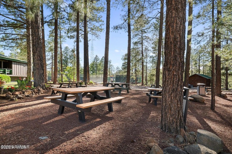18 Picnic Tables