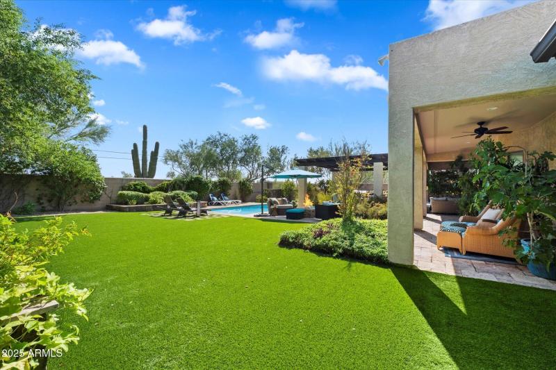 lots of low maintenance turf