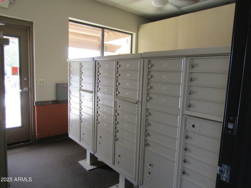 IMG_0003 - Copy