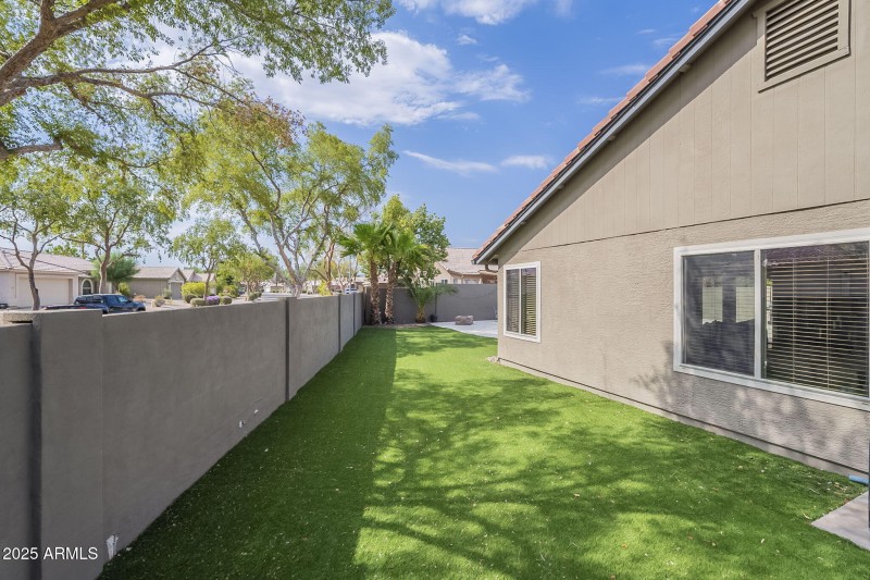 Side Yard