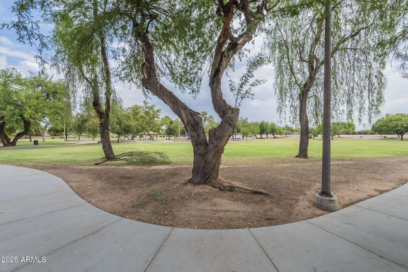 Park