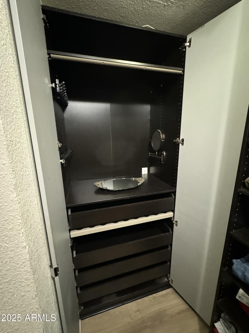 Primary walk-in closet with organizers