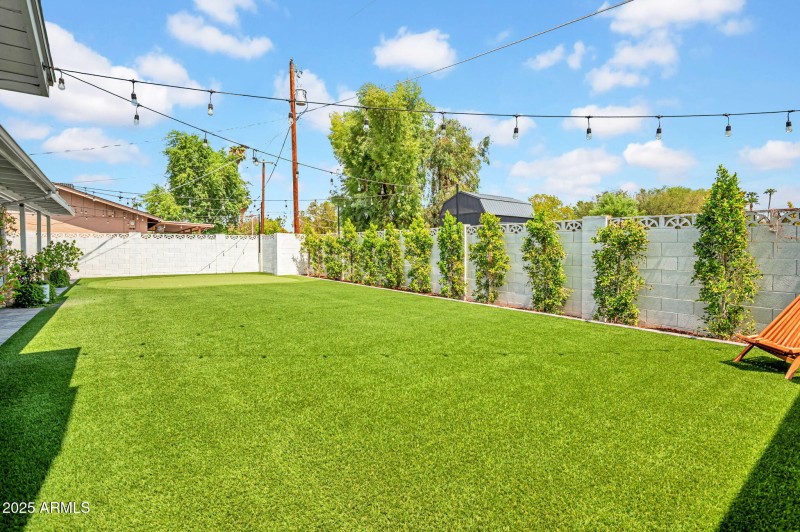 Backyard