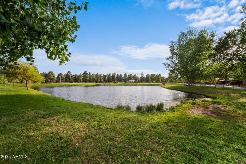 twinflamerem-46_(2000)