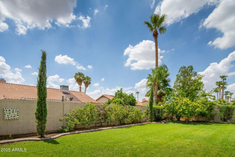 Backyard