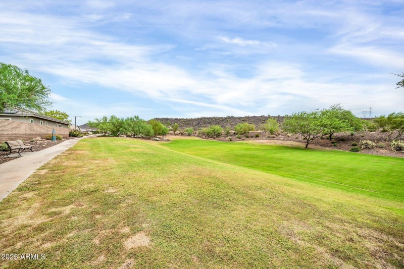 29994 N 115th Dr-35