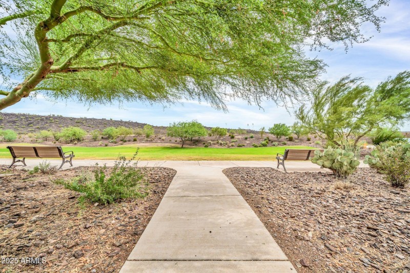 29994 N 115th Dr-36