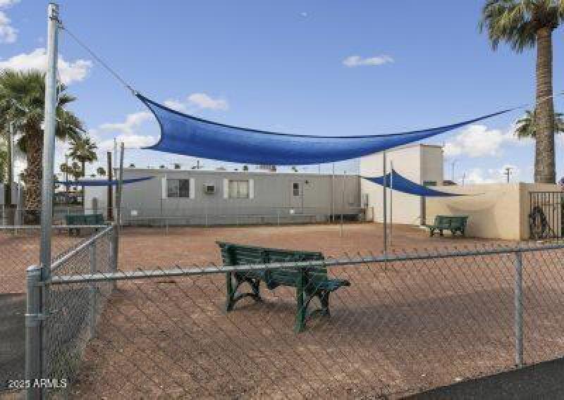 Dog Area