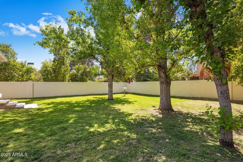 Backyard