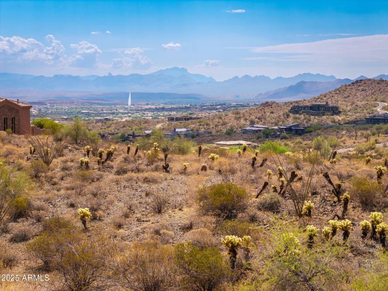 16217 N Desert Fox Pkwy