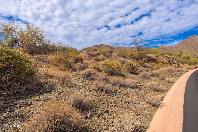 16217 N Desert Fox Pkwy