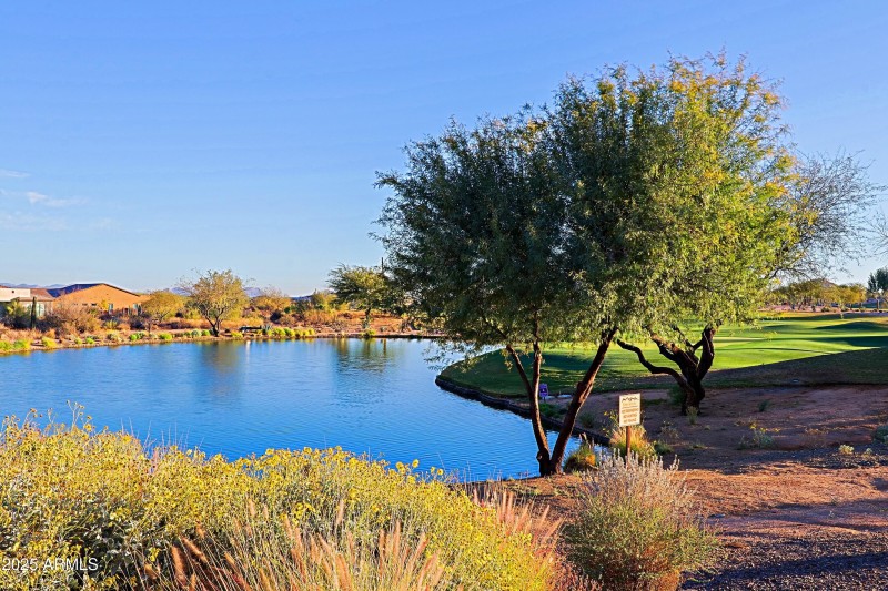 Backyard and Views 6