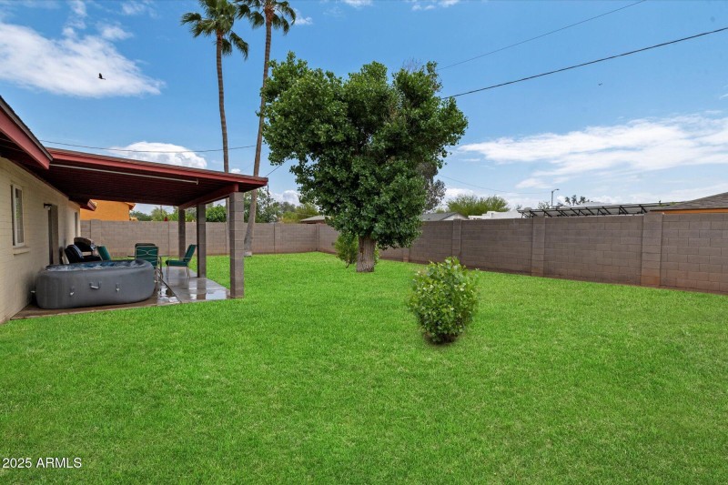 backyard & Patio