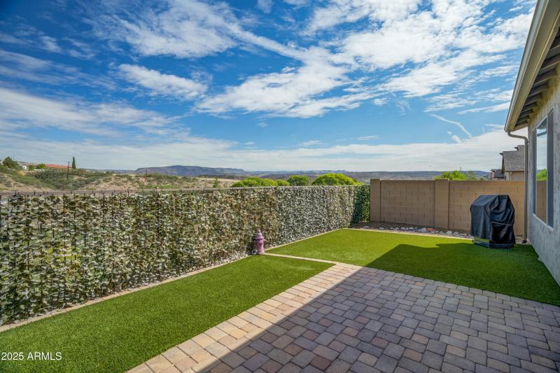 Back Yard 1