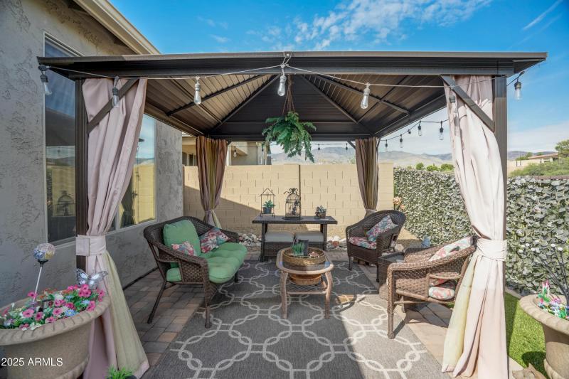Back Yard 3