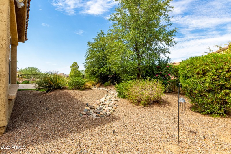 Backyard North Side