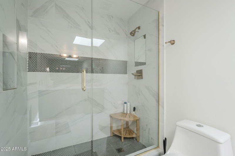 Primary Shower