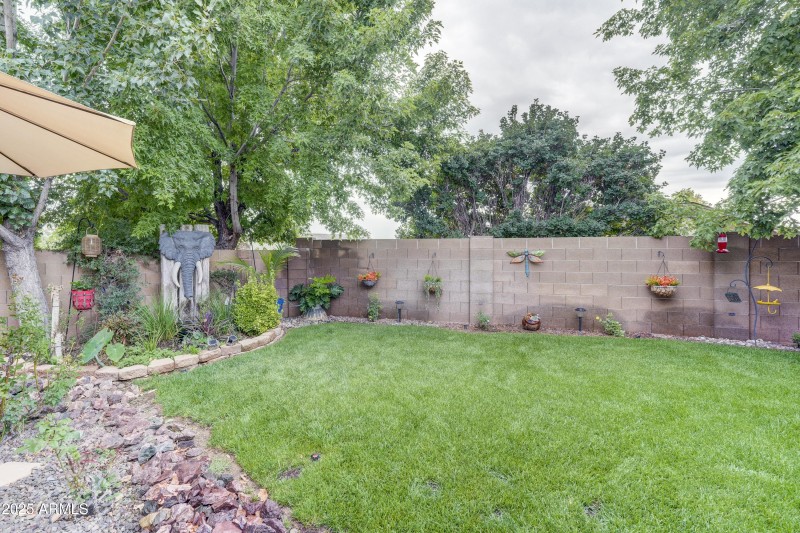 28_Back Yard 3