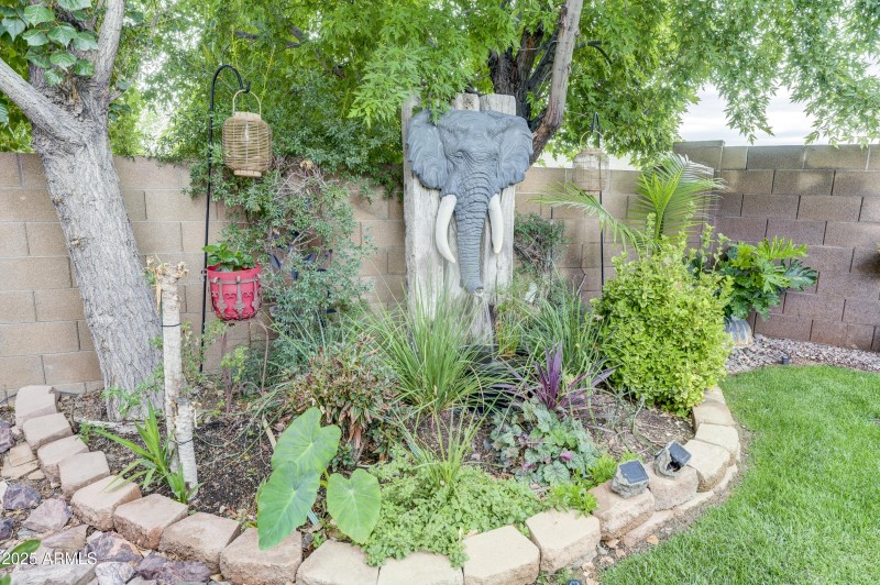 29_Back Yard 4