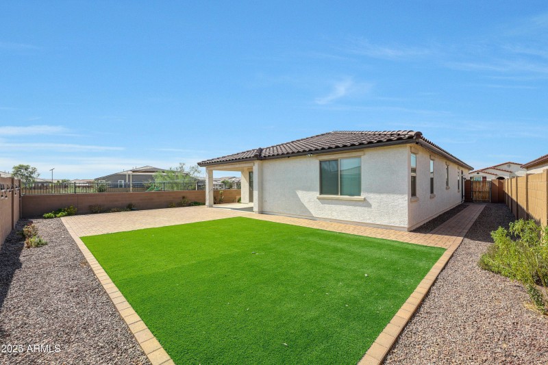 Low maintenance yard