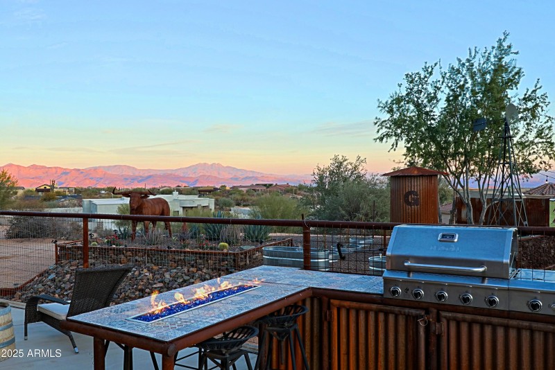 Backyard 3