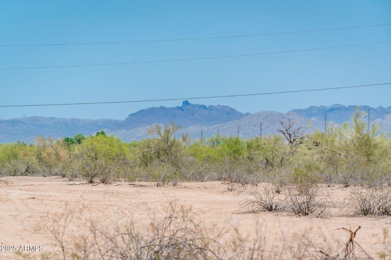 21916 W Duane Ln - MLS-51