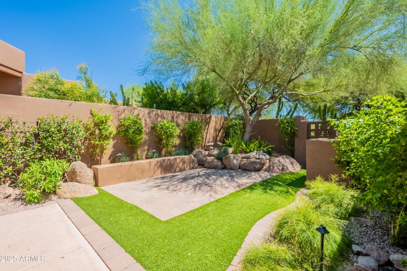 Turf grass yard