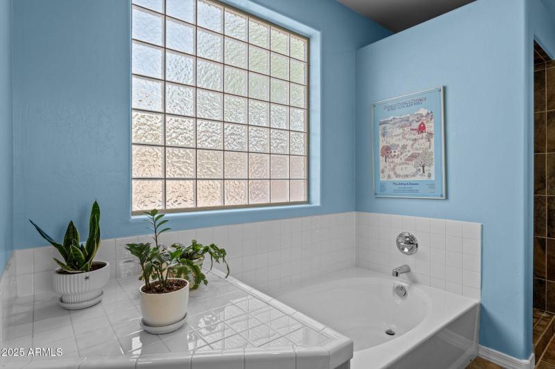 Master Full Bath Soaking Tub (3)