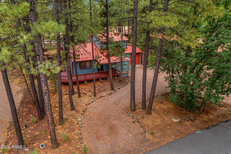 6367ChristmasTreeCir-Pinetop-AZ-28