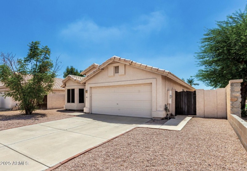 Nice low maintenance desert landscaping