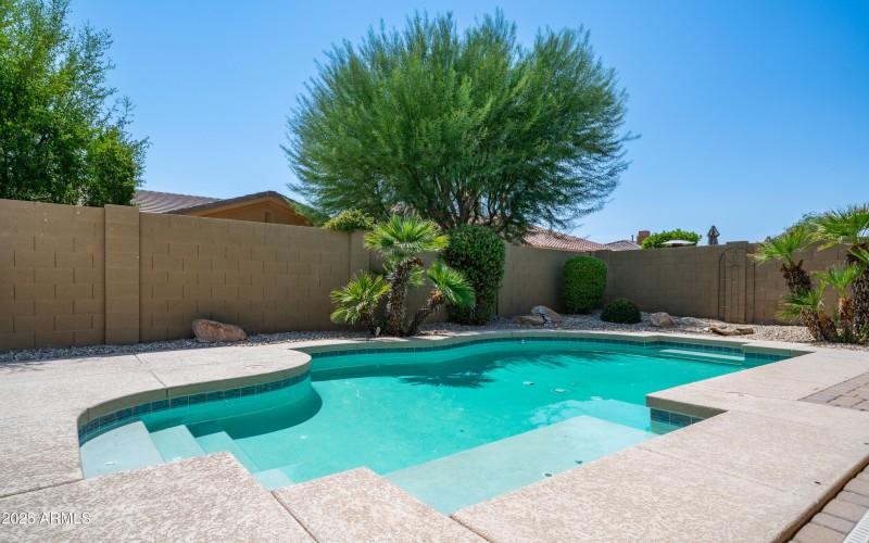 Backyard-1