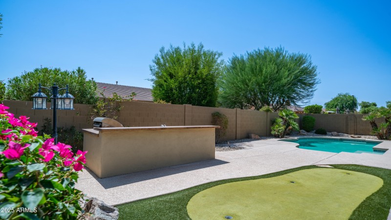 Backyard-2