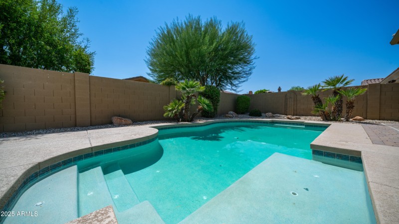Backyard-7
