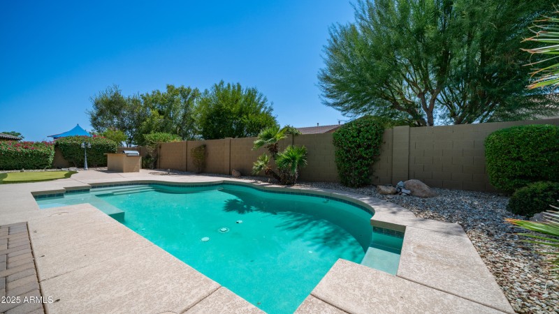 Backyard-8