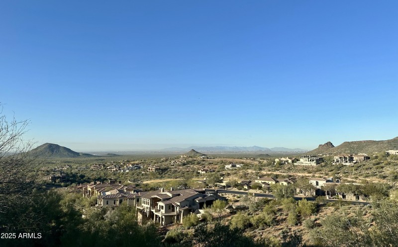 The View